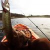 NJ Tiger Musky Fishing - Ken Beam chases Tiger Muskies at Oxford Furnace Lake