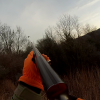 NJ Pheasant Hunting - a Thanksgiving Day Tradition
