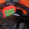 NJ Pheasant-Quail Hunting with Ken Beam & Curt Ryder - Hunting NJ 2014