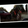 Quail Huntin` with Ken Beam & Curt Ryder in South Jersey - NJ Bobwhite hunting