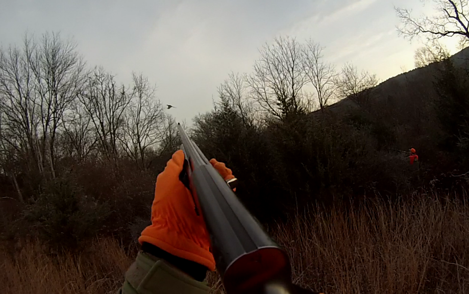 NJ Pheasant Hunting